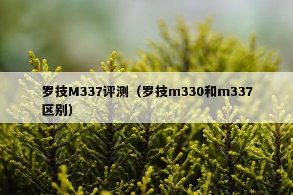 罗技M337评测（罗技m330和m337区别）