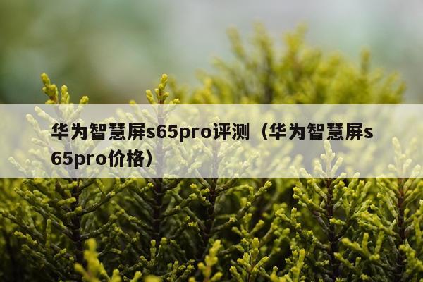 华为智慧屏s65pro评测（华为智慧屏s65pro价格）