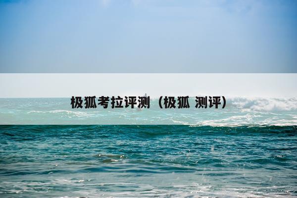 极狐考拉评测（极狐 测评）