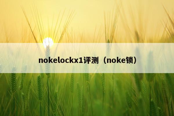 nokelockx1评测（noke锁）