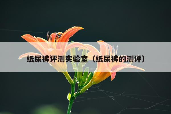 纸尿裤评测实验室（纸尿裤的测评）