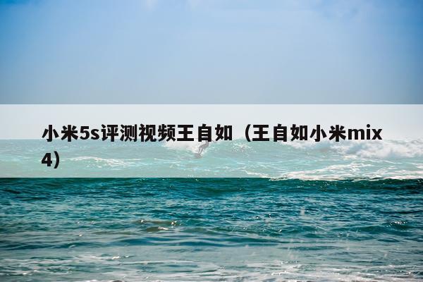 小米5s评测视频王自如（王自如小米mix4）