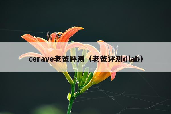cerave老爸评测（老爸评测dlab）