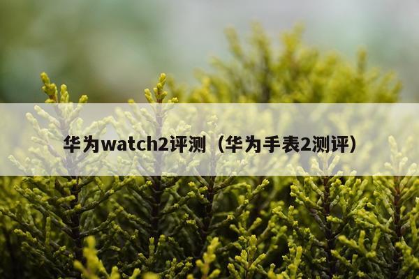 华为watch2评测（华为手表2测评）