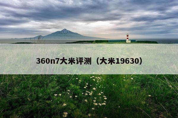 360n7大米评测（大米19630）