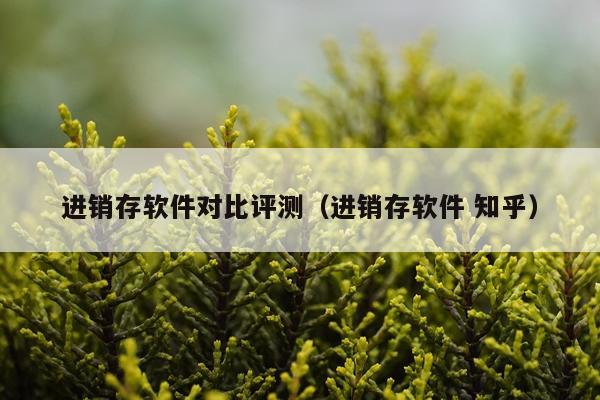 进销存软件对比评测（进销存软件 知乎）