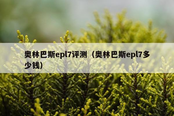 奥林巴斯epl7评测（奥林巴斯epl7多少钱）