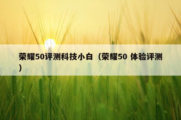 荣耀50评测科技小白（荣耀50 体验评测）