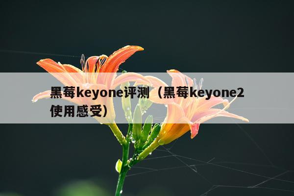 黑莓keyone评测（黑莓keyone2使用感受）