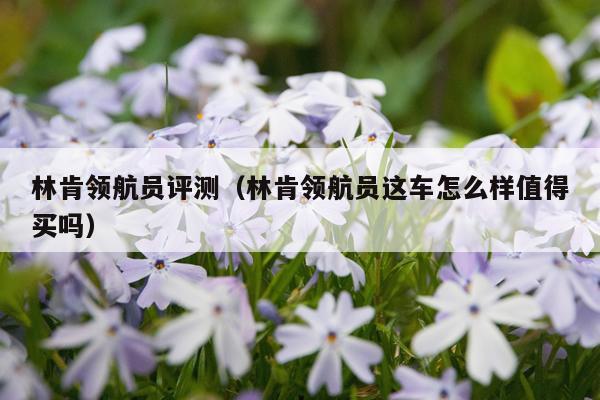 林肯领航员评测（林肯领航员这车怎么样值得买吗）