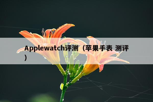 Applewatch评测（苹果手表 测评）