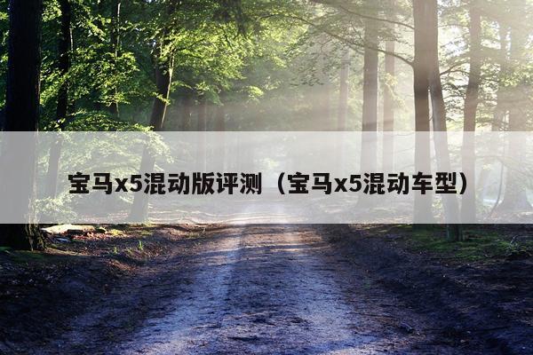 宝马x5混动版评测（宝马x5混动车型）
