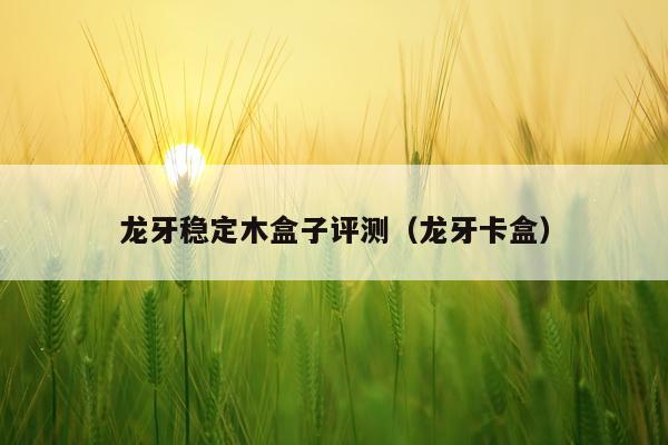 龙牙稳定木盒子评测（龙牙卡盒）