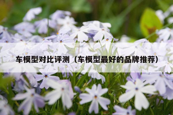 车模型对比评测（车模型最好的品牌推荐）