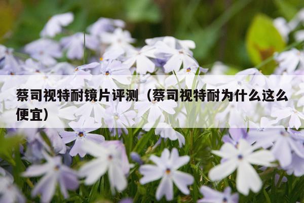 蔡司视特耐镜片评测（蔡司视特耐为什么这么便宜）