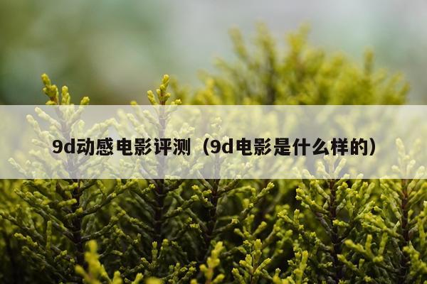 9d动感电影评测（9d电影是什么样的）