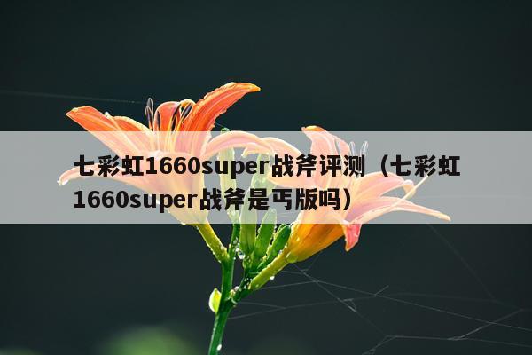 七彩虹1660super战斧评测(七彩虹1660super战斧是丐版吗)