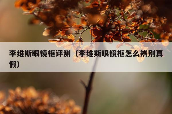 李维斯眼镜框评测（李维斯眼镜框怎么辨别真假）