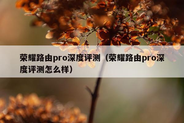 荣耀路由pro深度评测（荣耀路由pro深度评测怎么样）