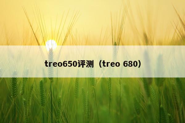 treo650评测（treo 680）