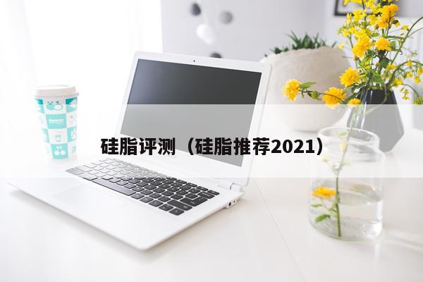 硅脂评测（硅脂推荐2021）