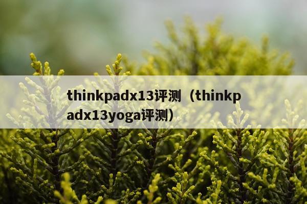thinkpadx13评测（thinkpadx13yoga评测）