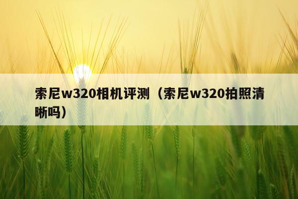 索尼w320相机评测（索尼w320拍照清晰吗）