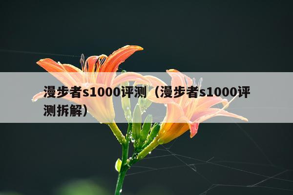 漫步者s1000评测（漫步者s1000评测拆解）