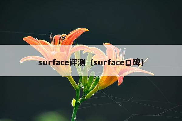 surface评测（surface口碑）
