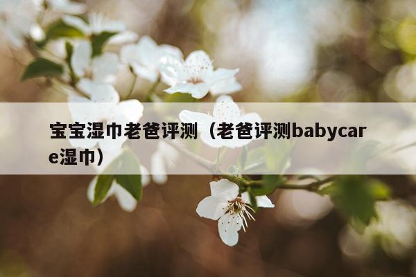 宝宝湿巾老爸评测（老爸评测babycare湿巾）