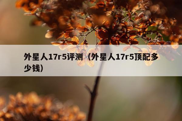 外星人17r5评测（外星人17r5顶配多少钱）