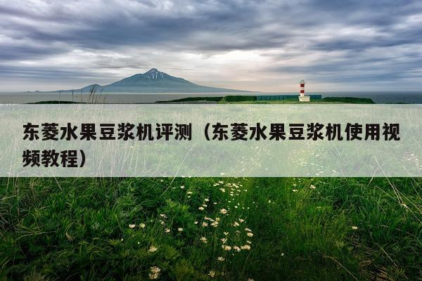 东菱水果豆浆机评测（东菱水果豆浆机使用视频教程）