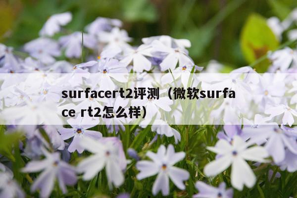 surfacert2评测（微软surface rt2怎么样）