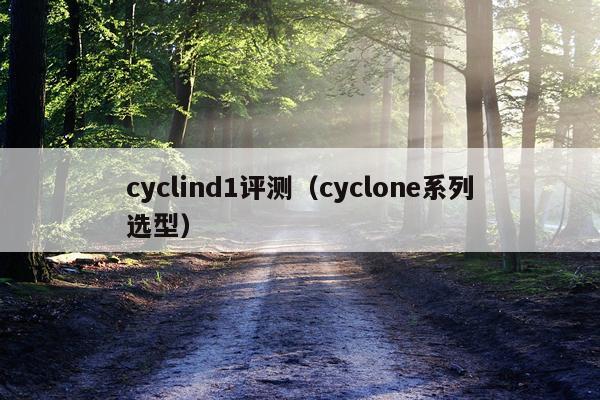 cyclind1评测（cyclone系列选型）