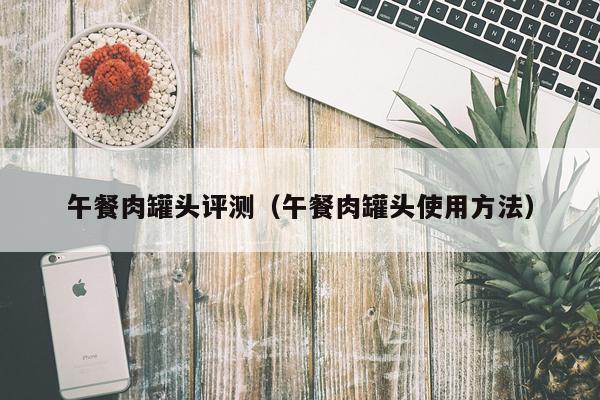 午餐肉罐头评测（午餐肉罐头使用方法）