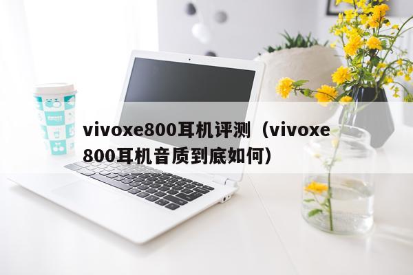 vivoxe800耳机评测（vivoxe800耳机音质到底如何）