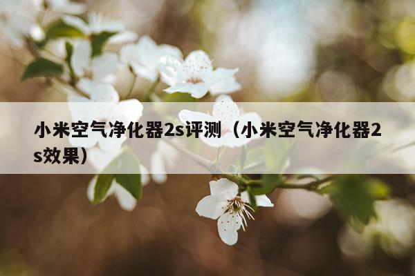 小米空气净化器2s评测（小米空气净化器2s效果）