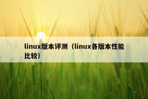 linux版本评测（linux各版本性能比较）
