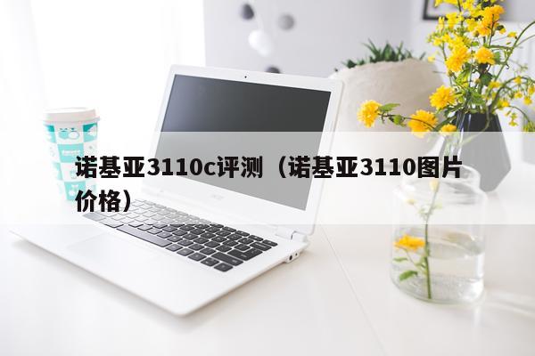 诺基亚3110c评测（诺基亚3110图片价格）