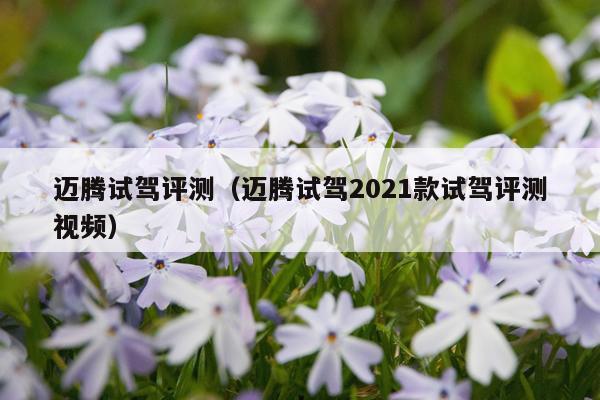 迈腾试驾评测（迈腾试驾2021款试驾评测视频）