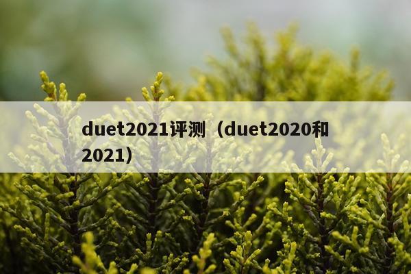 duet2021评测（duet2020和2021）