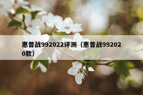 惠普战992022评测（惠普战992020款）