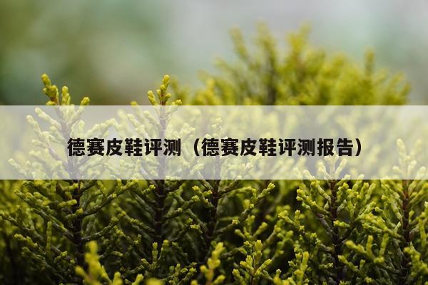 德赛皮鞋评测（德赛皮鞋评测报告）
