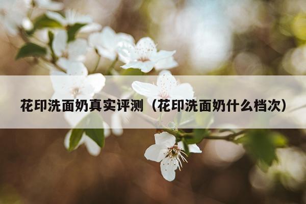 花印洗面奶真实评测（花印洗面奶什么档次）