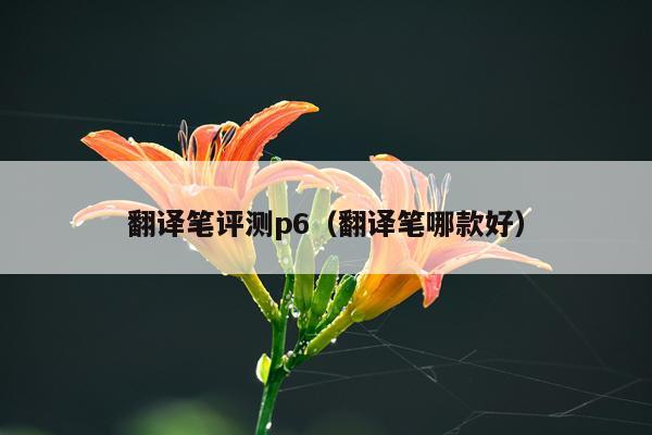 翻译笔评测p6（翻译笔哪款好）