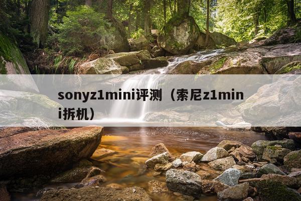 sonyz1mini评测（索尼z1mini拆机）