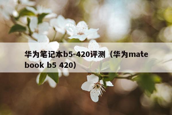 华为笔记本b5-420评测（华为matebook b5 420）