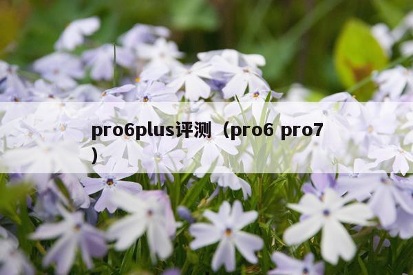 pro6plus评测（pro6 pro7）