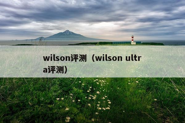 wilson评测（wilson ultra评测）