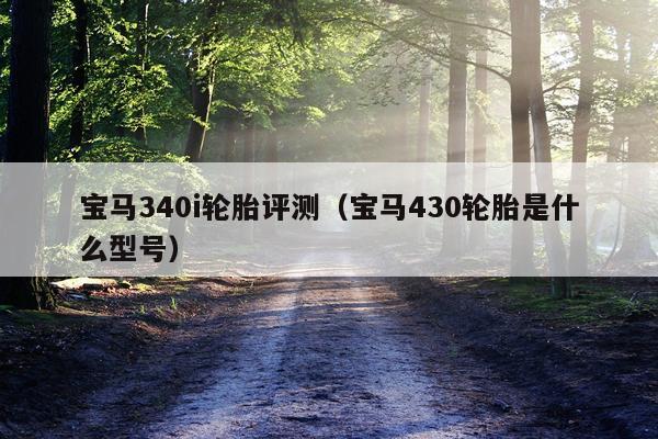 宝马340i轮胎评测（宝马430轮胎是什么型号）